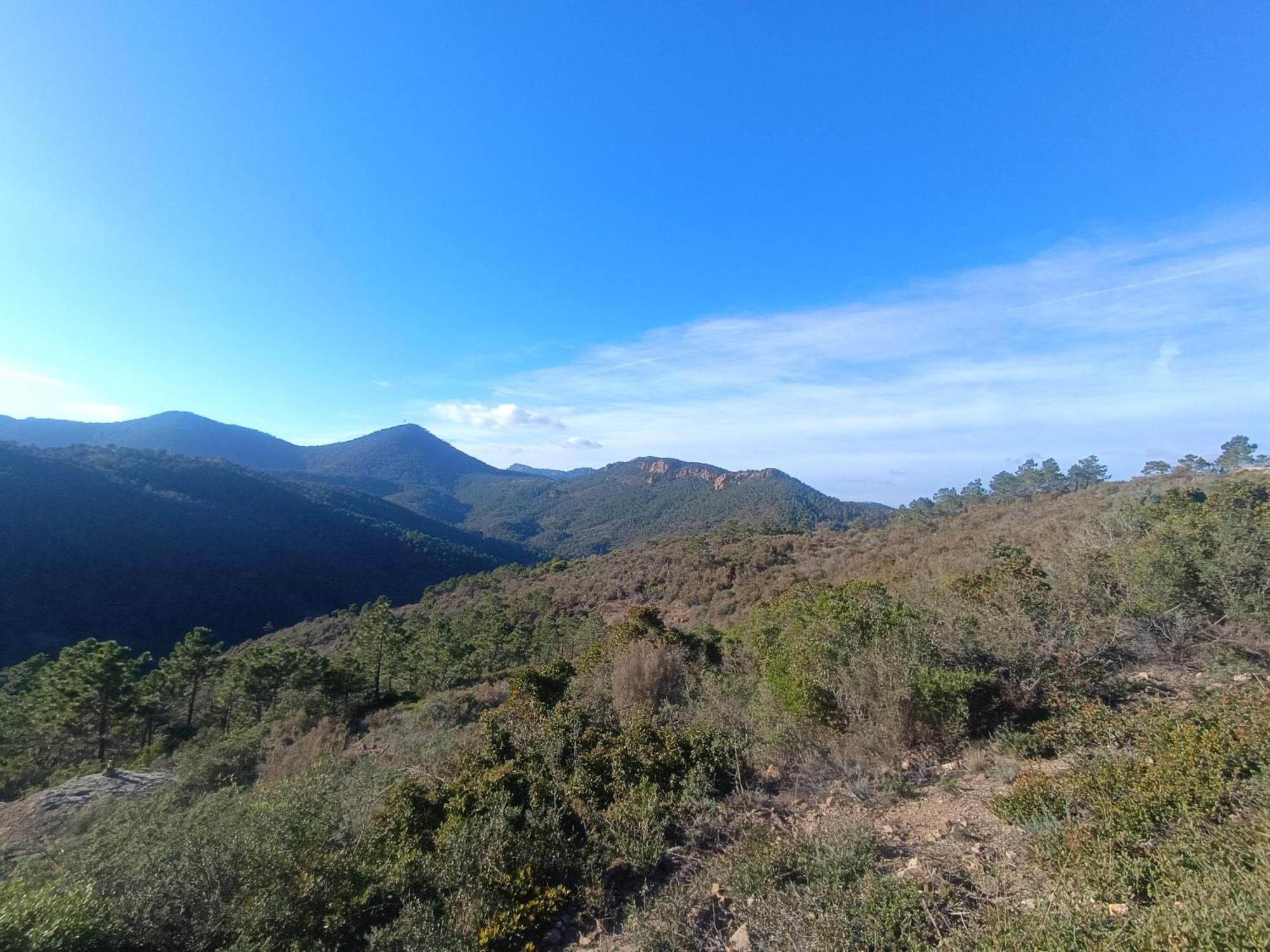 Magnifique Vue Mer Et Piscine - Les Cles De L Esterel เตอูล-ซูร์-แม ภายนอก รูปภาพ