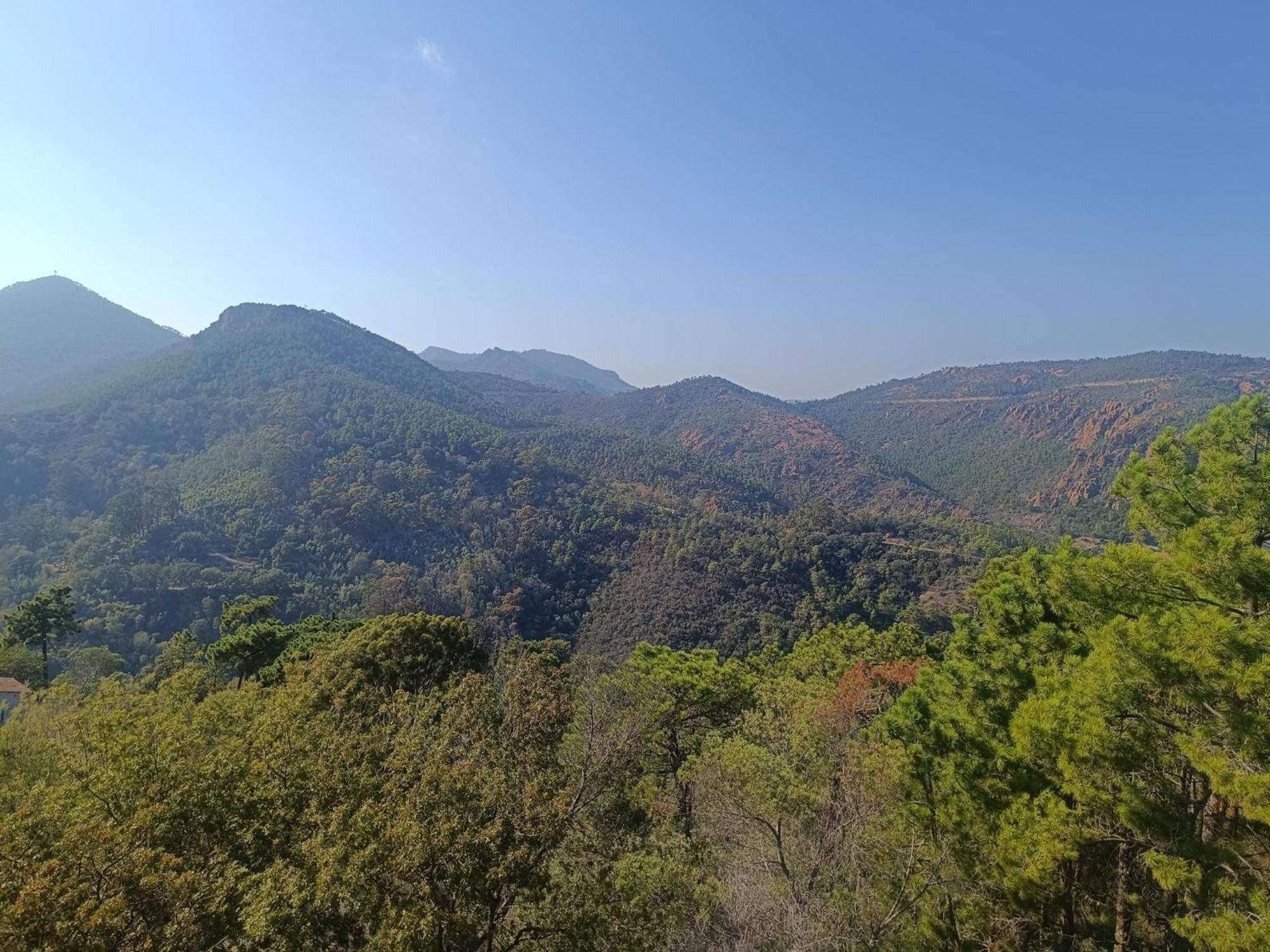 Magnifique Vue Mer Et Piscine - Les Cles De L Esterel เตอูล-ซูร์-แม ภายนอก รูปภาพ
