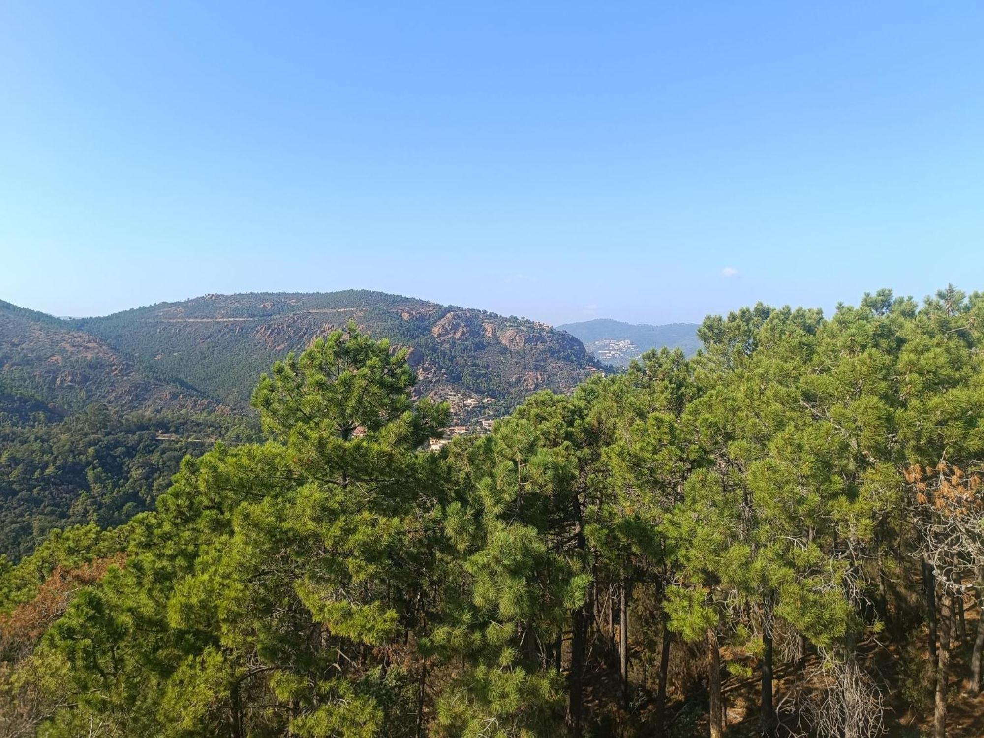 Magnifique Vue Mer Et Piscine - Les Cles De L Esterel เตอูล-ซูร์-แม ภายนอก รูปภาพ